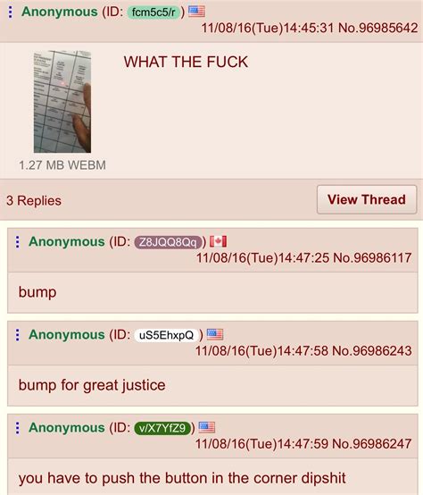 4chan /v|/pol/ .